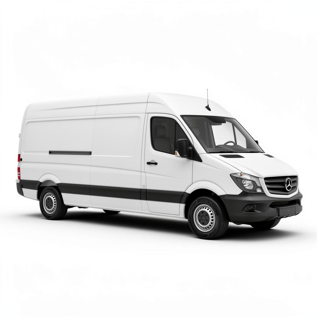 Professional cargo van